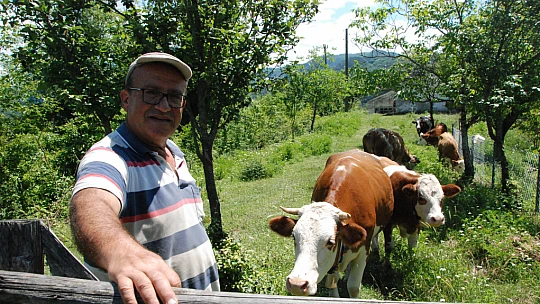 Bartın'da şap vakası