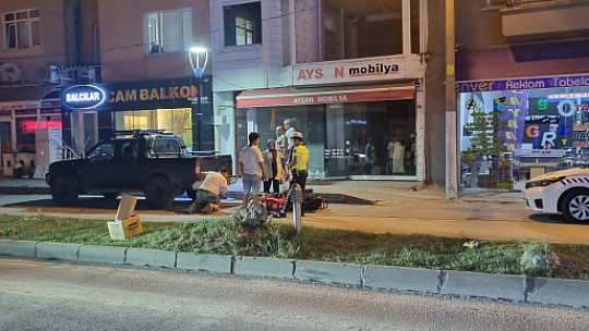 Park halindeki kamyonete çarptı