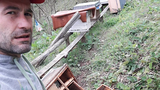 Kocaoğlan kovanları telef etti
