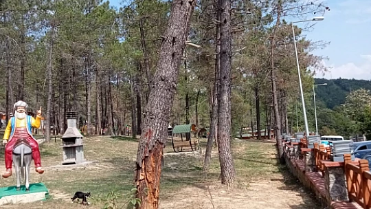 Yıkılmadan önce vatandaş uyarmış