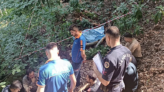 Kestiği ağacın altında kaldı