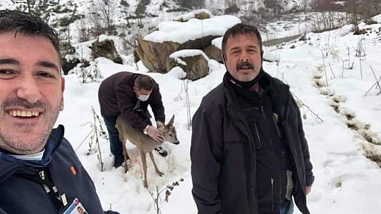 Evin yakınına kadar geldi