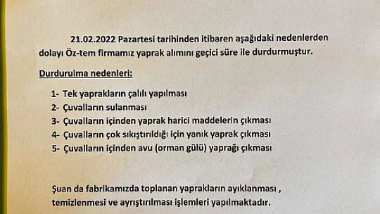 Öztem'den defne duyurusu