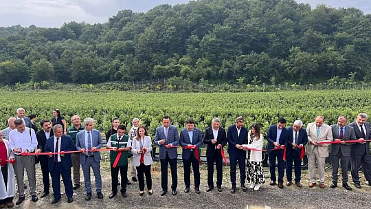 Bartın'da aromatik bitki bahçesi kuruldu
