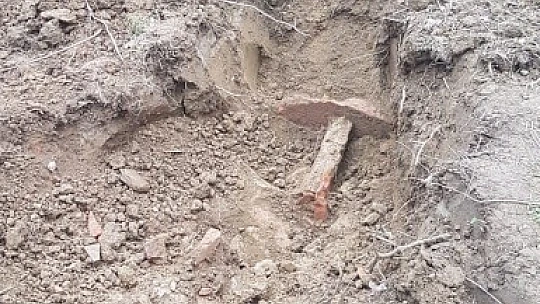 Merak uyandıran gelişme