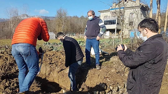Merak uyandıran gelişme