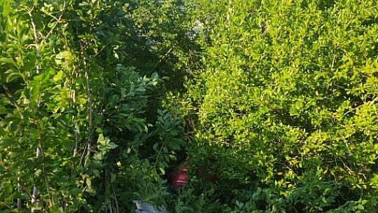 Gözüne güneş geldi, kaza yaptı
