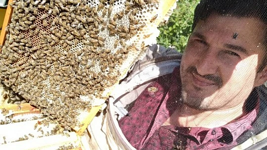 Hakiki kestane balı ve propolis Asar Arıcılık'ta