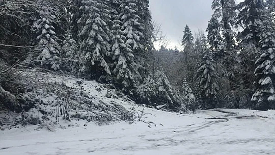 Bartın'da yaylalar beyaza büründü
