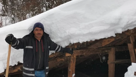 Bartın'ın Sibaryası oldu