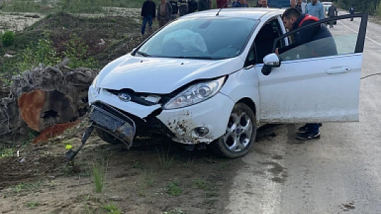 Kontrolü kaybetti, yoldan çıktı