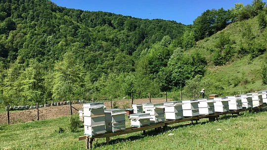 Arazide şok eden manzara