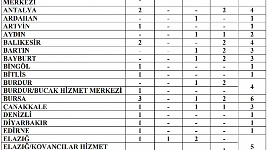 Güvenlik personeli alınacak
