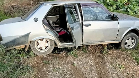 Yoldan çıkan otomobil ağaca çarptı