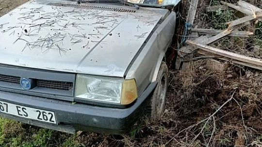 Yoldan çıkan otomobil ağaca çarptı