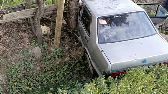 Yoldan çıkan otomobil ağaca çarptı
