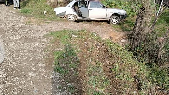 Yoldan çıkan otomobil ağaca çarptı