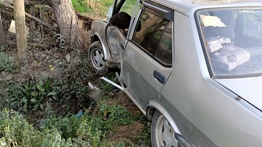 Yoldan çıkan otomobil ağaca çarptı
