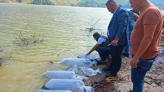 Baraja 85 bin adet bırakıldı