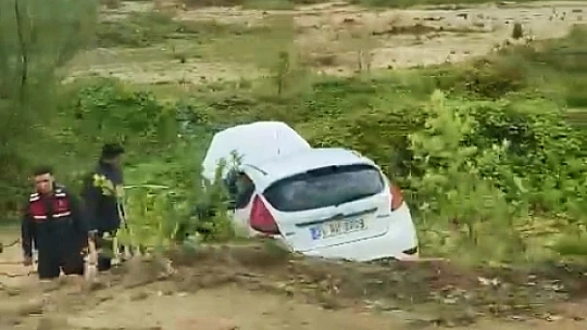 Kontrolü kaybetti, yoldan çıktı