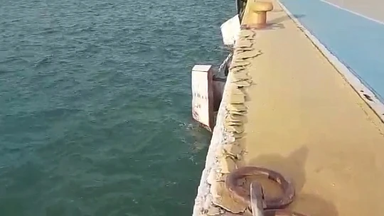 Yolcu gemisi kaza yaptı