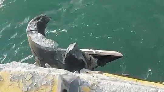 Yolcu gemisi kaza yaptı