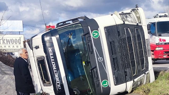 Yol kenarına devrildi