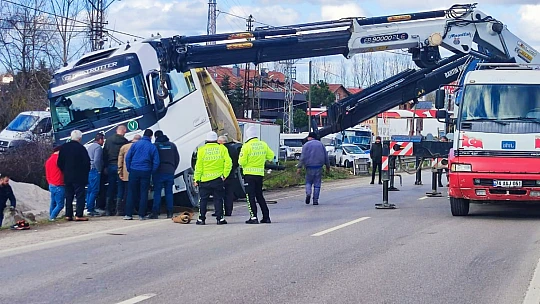 Yol kenarına devrildi