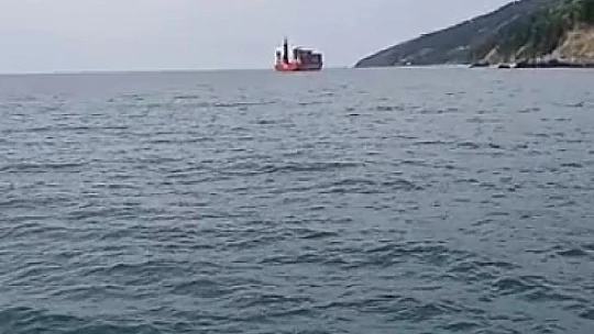 Yük gemisi karaya oturdu
