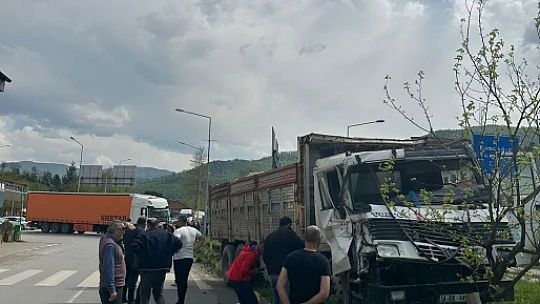 İki ağır vasıta çarpıştı