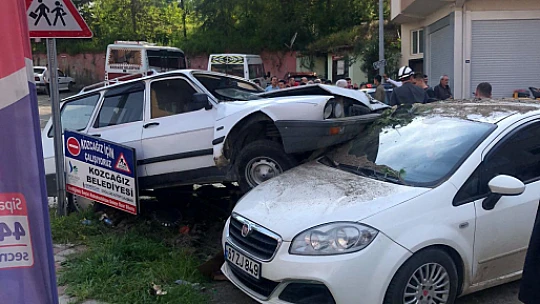 Park halindeki aracın üzerine çıktı