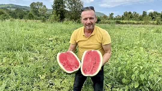Hala şaşıran var, bunlar goçvaz karpuzu