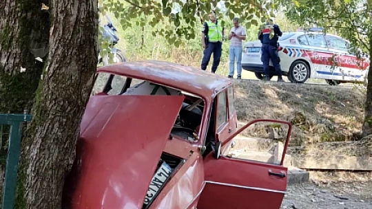Yoldan çıktı, ağaca çarptı