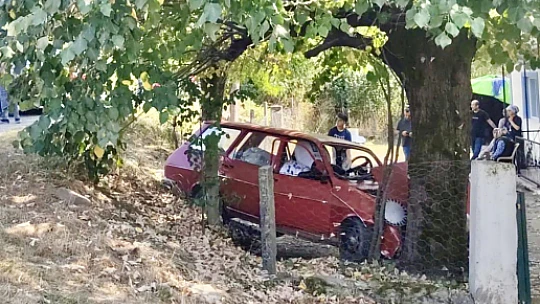Yoldan çıktı, ağaca çarptı