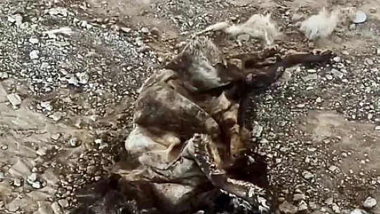 Çocuklar tarafından bulundu