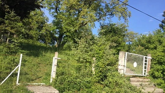Vatandaşları şaşırtan görüntü