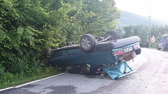 Yola çıkan İnekler kazaya sebep oldu