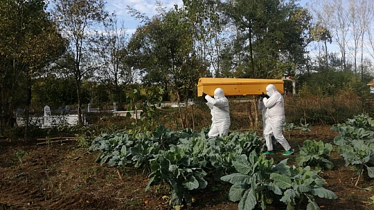 Bartın'da koronadan can kayıpları sürüyor