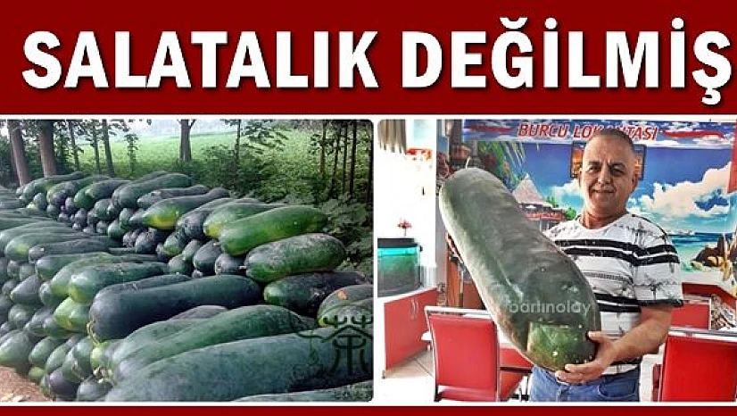 Ülke çalkalandı, meğer salatalık değilmiş