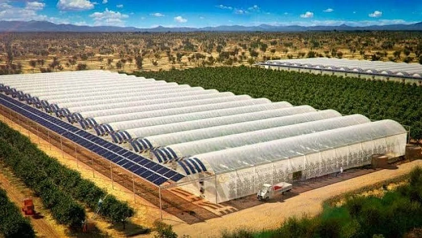Kozcağız'a dev seracılık projesi